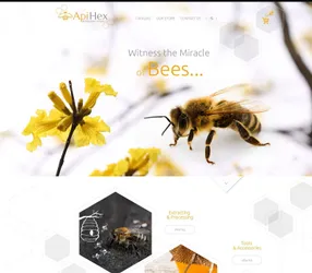 Web designs - 12