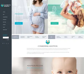 Web designs - 13