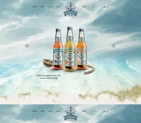 Web designs - 7